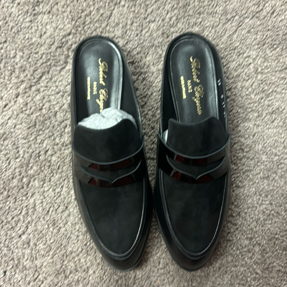 Robert Clergerie Allan Shoes (NEW IN BOX)